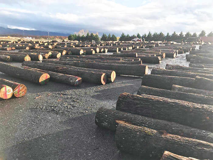 原木材料及（jí）產地介紹