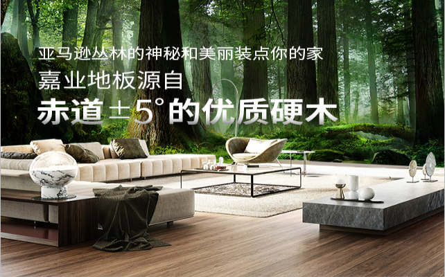 麻豆WWW传媒入口地板